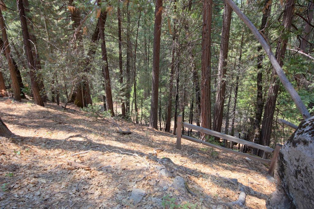 1l The Tree House Chalet North Wawona