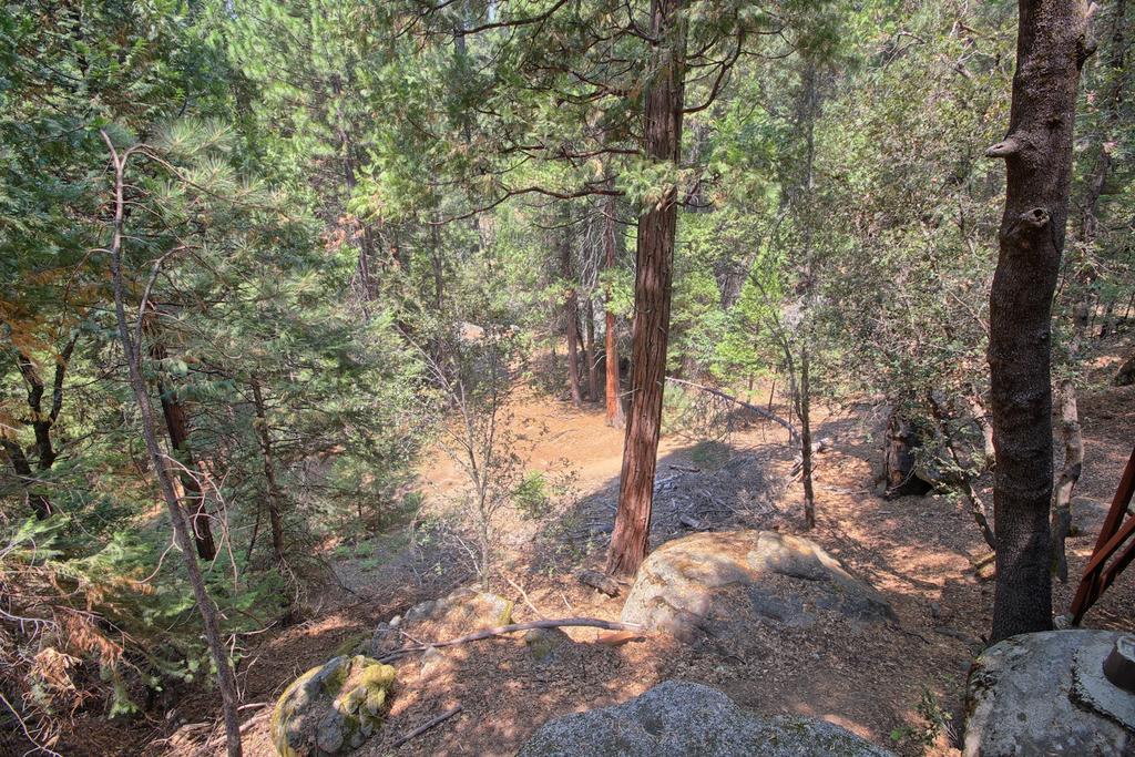 1l The Tree House Chalet North Wawona
